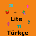 Sayi Matematik Turkce