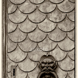 Fish scale door. by Gale Perry -  