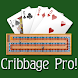 Cribbage Pro Online! icon
