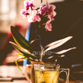Cuppa time by Lisa Davies - Food & Drink Alcohol & Drinks