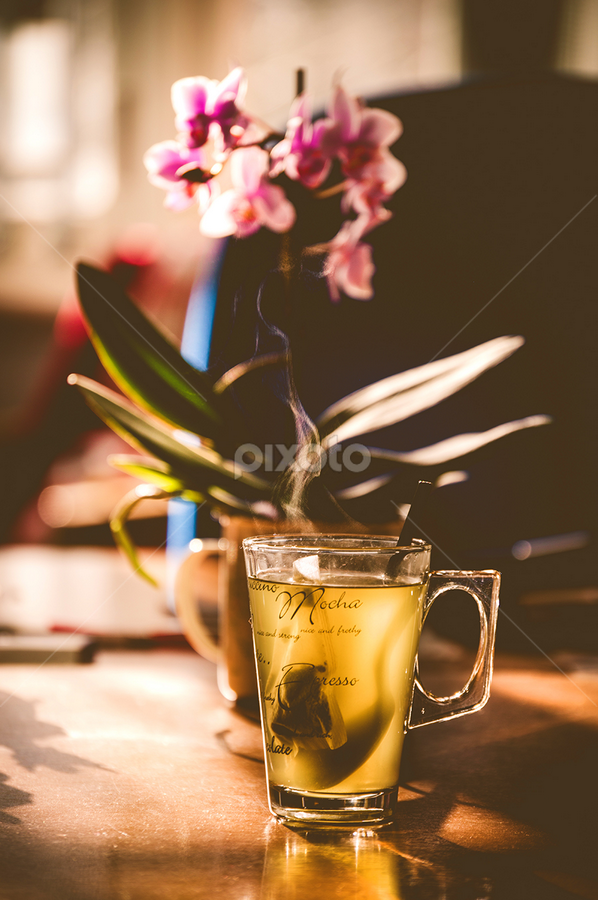 Cuppa time by Lisa Davies - Food & Drink Alcohol & Drinks