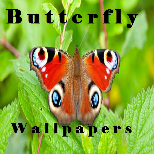 Butterfly Wallpapers