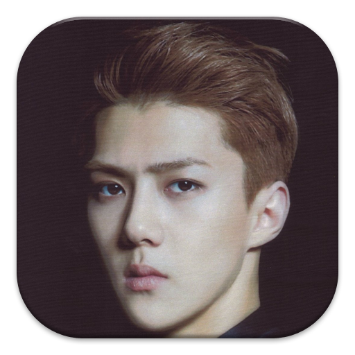 EXO Oh Sehun Puzzle Games