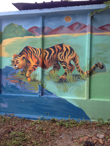 Тигр, Рисунок на стене