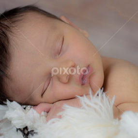 by Danielle Pedder - Novices Only Portraits & People