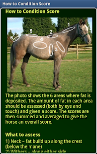 Free Horse Body Condition Scoring APK for PC