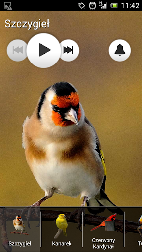 無料音乐Appの鳥が聞こえる - 着メロを|HotApp4Game