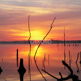 Misty Rise by Roger Becker - Landscapes Sunsets & Sunrises