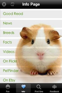 How to mod Guinea Pig+ Free 1.0 unlimited apk for pc