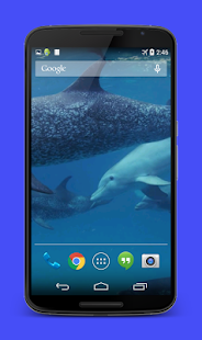 How to install Dolphins Video Live Wallpaper lastet apk for bluestacks