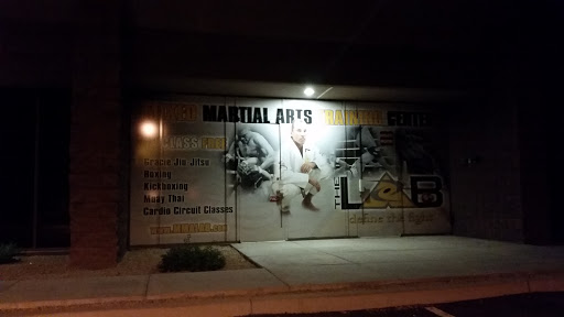 The MMA lab Window Art
