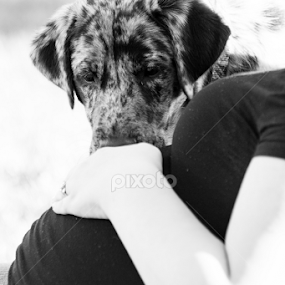 When do I get a new person by Keith Bryant - Black & White Animals