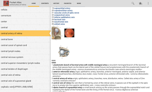 【免費醫療App】Atlas of Anatomy-APP點子