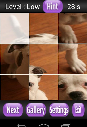 【免費解謎App】American Bulldog Puzzle Games-APP點子