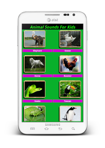 Animal Sounds