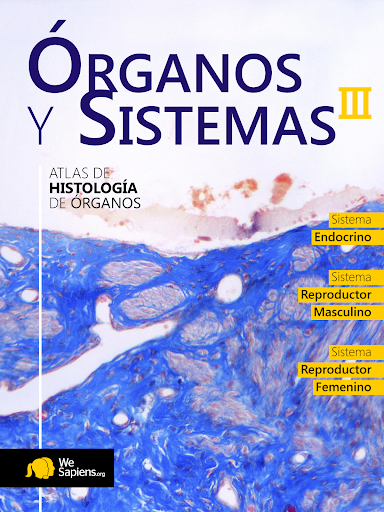 Atlas Interactivo Histología 4