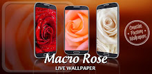 Macro Rose Live Wallpaper APK