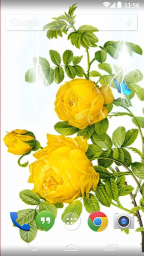 yellow flower live wallpaper