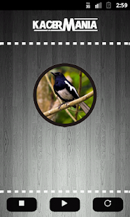 How to get Oriental Magpie Robin patch 1.1 apk for android