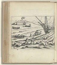 Overvallen door ijsberen bij het laden van de sleden, 1596