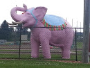 Pink Elephant Yorkville