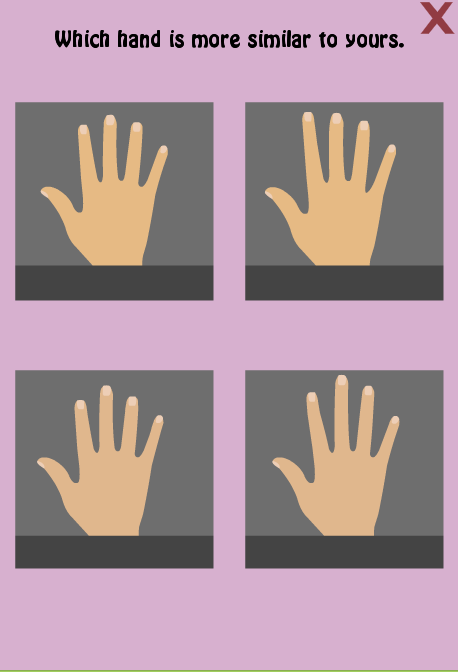 The Sex of Your Brain Test Screen 2