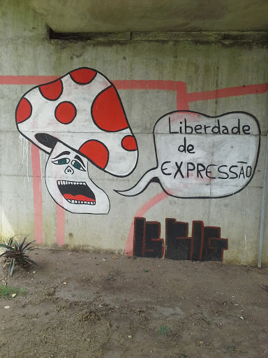 Grafite Viaduto Do D.I.A