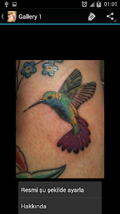 Lastest Shoulder Tattoo Designs APK