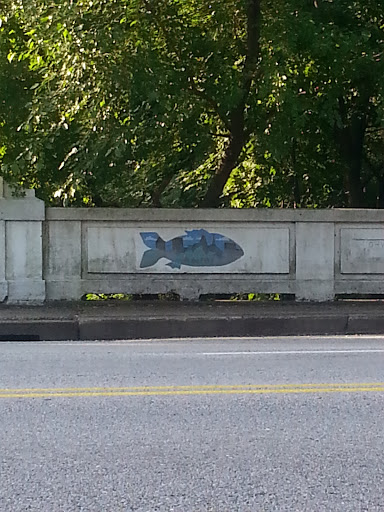 Urban Fish Outline Mural