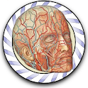 Speed Angiology MD logo