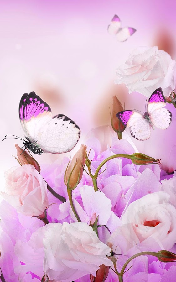 Butterfly Live Wallpaper - Android Apps on Google Play