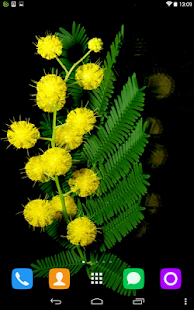 How to get Mimosa Live Wallpaper 1.1.1 mod apk for laptop