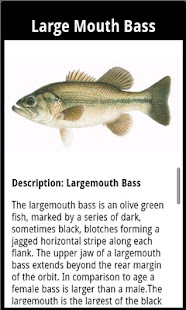 How to get FishCaddy lastet apk for laptop