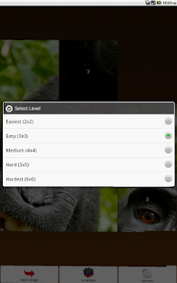 Monkey Puzzle Screenshots 2