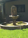 Guadalupe Fountain 