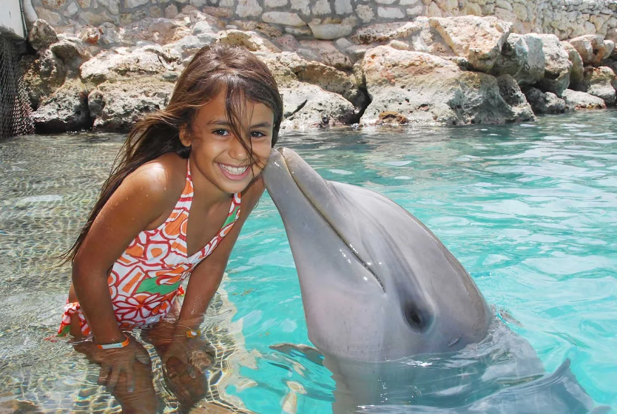 Curacao-dolphin-kiss - You'll make all kinds of new friends at Curacao's Dolphin Academy.