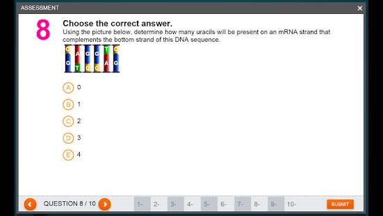 DNA to Protein Synthesis Screenshots 5
