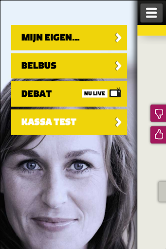 Kassa Panel mobiel