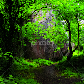 Derbyshare in England by Vladimir Firsov - Landscapes Forests