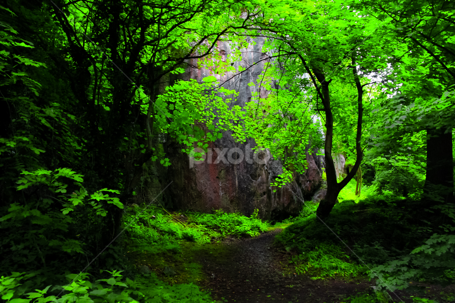 Derbyshare in England by Vladimir Firsov - Landscapes Forests