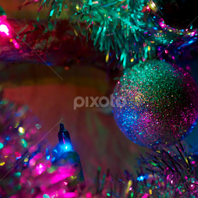 Decked! by Chris Taylor - Public Holidays Christmas