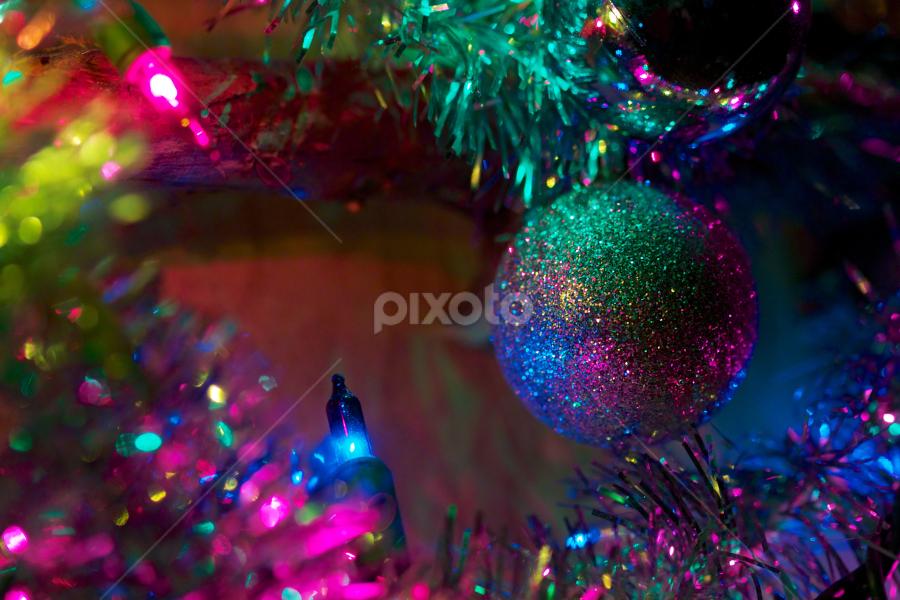 Decked! by Chris Taylor - Public Holidays Christmas