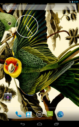 免費下載攝影APP|Audubon's Birds of America V02 app開箱文|APP開箱王