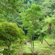 台灣農林熊空茶園