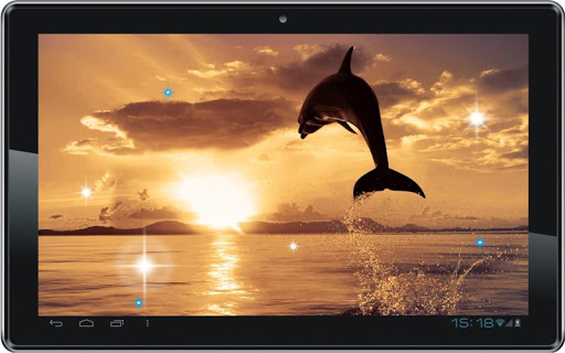 【免費個人化App】Dolphins Great Photo HQ LWP-APP點子