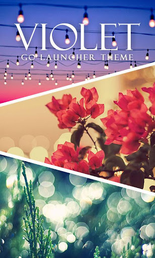 Violet GO Launcher Theme