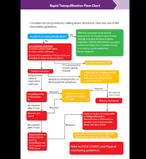 CAMHS Safety Screenshots 3