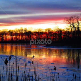 Eagle Pond, Old Greenwich, CT. by John Hayes - Landscapes Waterscapes
