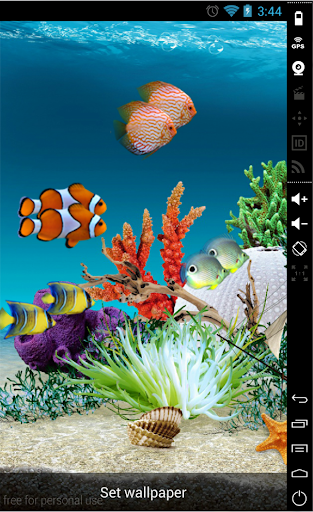 Clownfish Aquarium Wallpaper