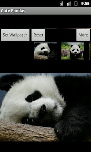 Download Cute Pandas wallpaper APK for Android